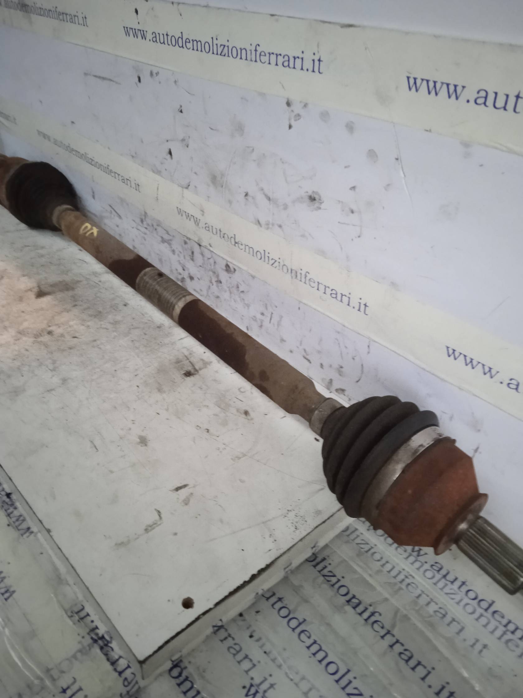 Semialbero ant. compl. sx.